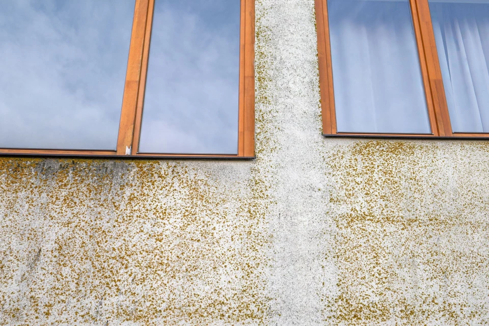 Facade nettoyage mousse var