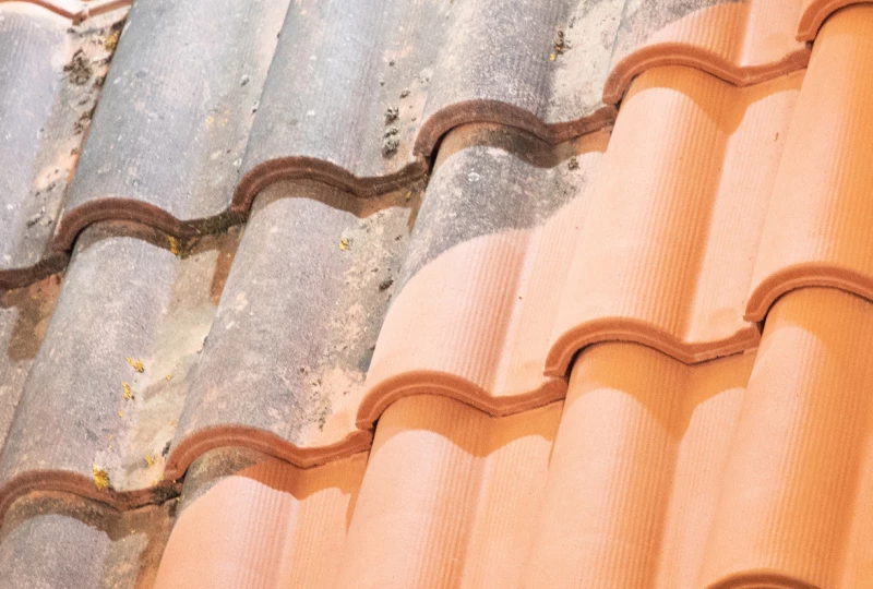 Nettoyage demoussage toitures var