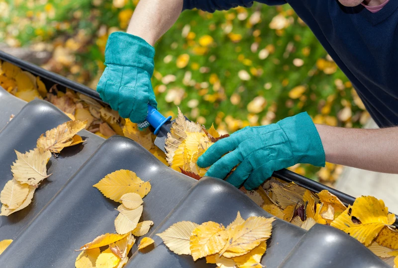 Nettoyage entretien gouttieres var