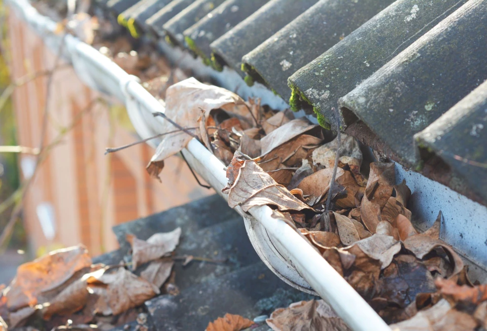 Nettoyage gouttieres var