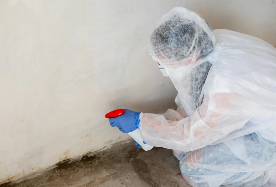 Entretiens traitements nettoyage var