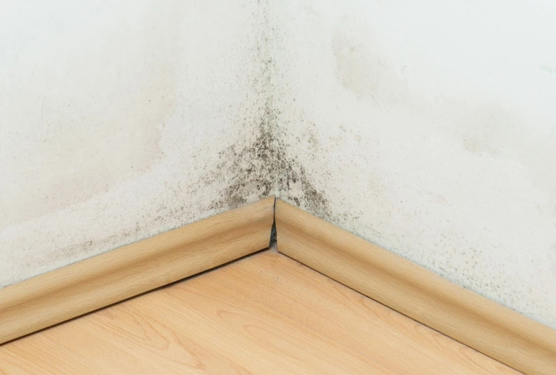 Traitements humidite habitat var