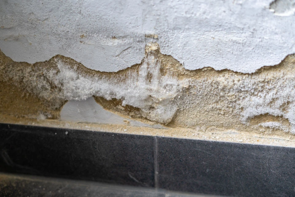 Traitement salpetre humidite'var