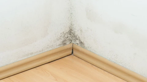 Nettoyage ventilation humidité var