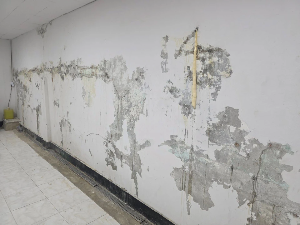 Habisud mur humide moisissures salpetre traitement